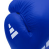 VelcroIBA boxing glove