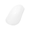 Coquille slip coton adidas