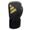 Gants de Boxe Hybrid 10