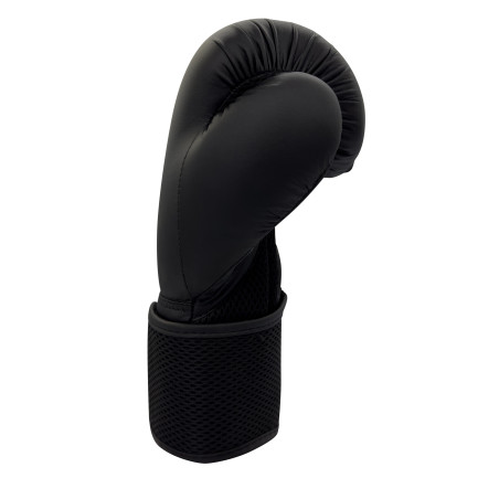 Gants de Boxe Hybrid 10