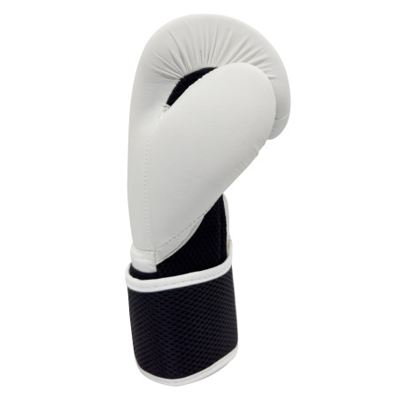 Gants de Boxe Hybrid 10
