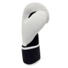 Gants de Boxe Hybrid 10