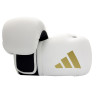 Gants de Boxe Hybrid 10