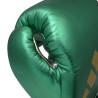 Gants de Boxe Speed 501