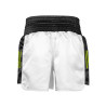 Short de Boxe Pro adidas