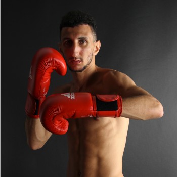 VelcroIBA boxing glove