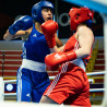 Casque de Boxe Compétition Amateur IBA adidas