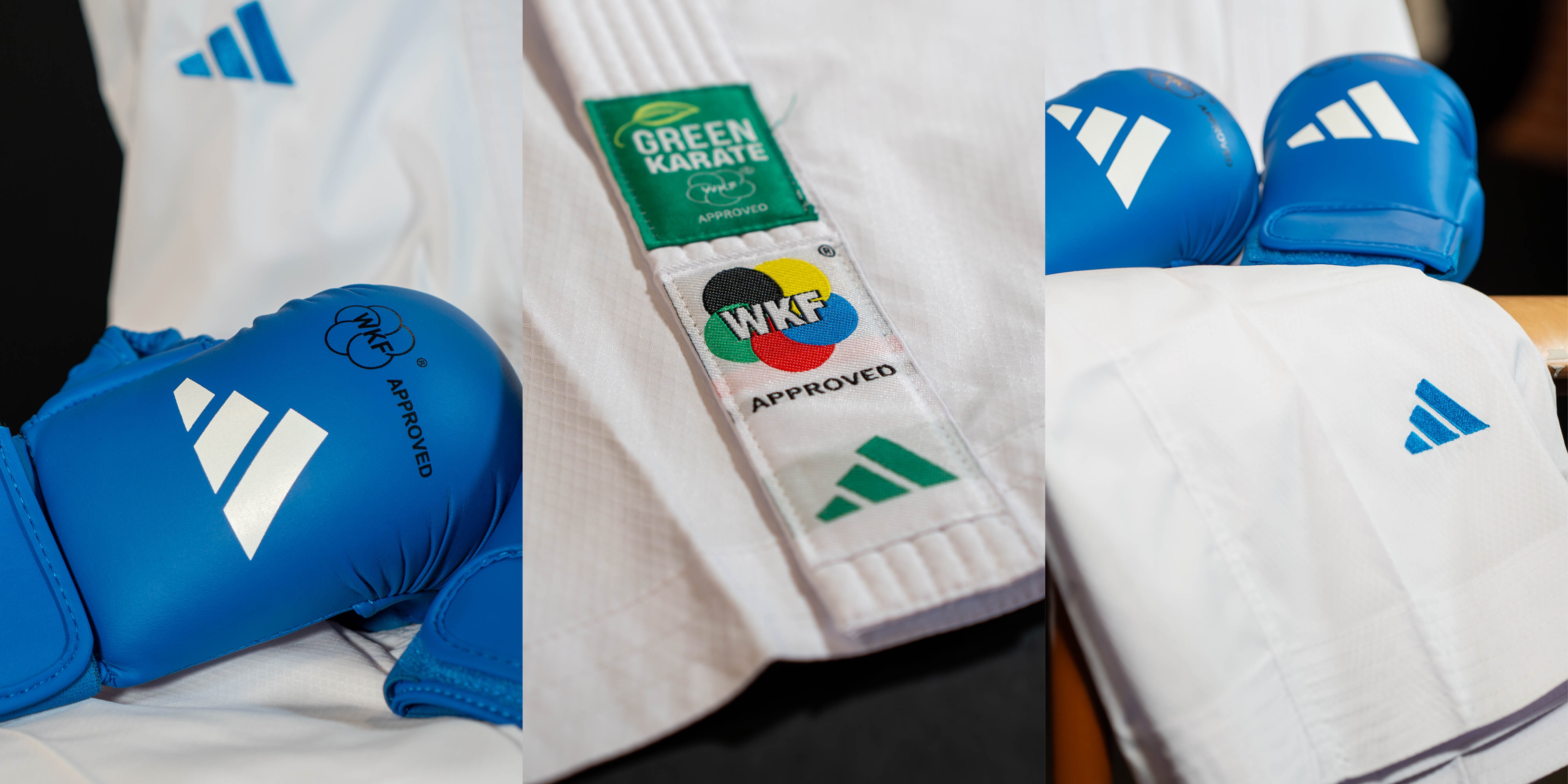 Bannière Karaté Green Label WKF